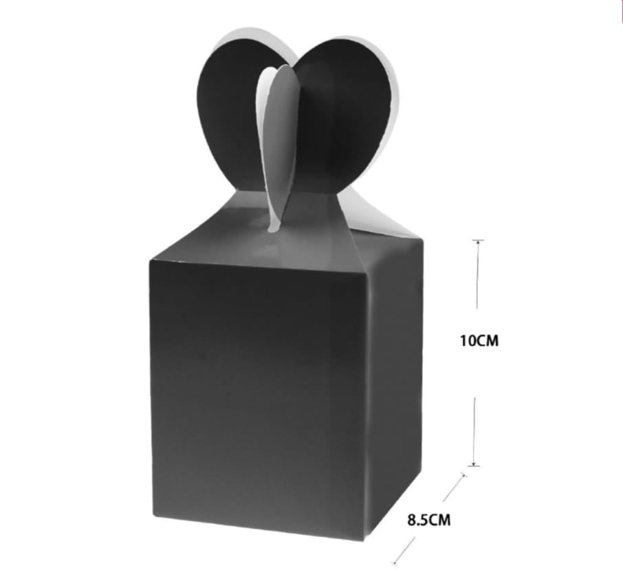 Boîtes Surprise Anniversaire – Lot de 10 pièces