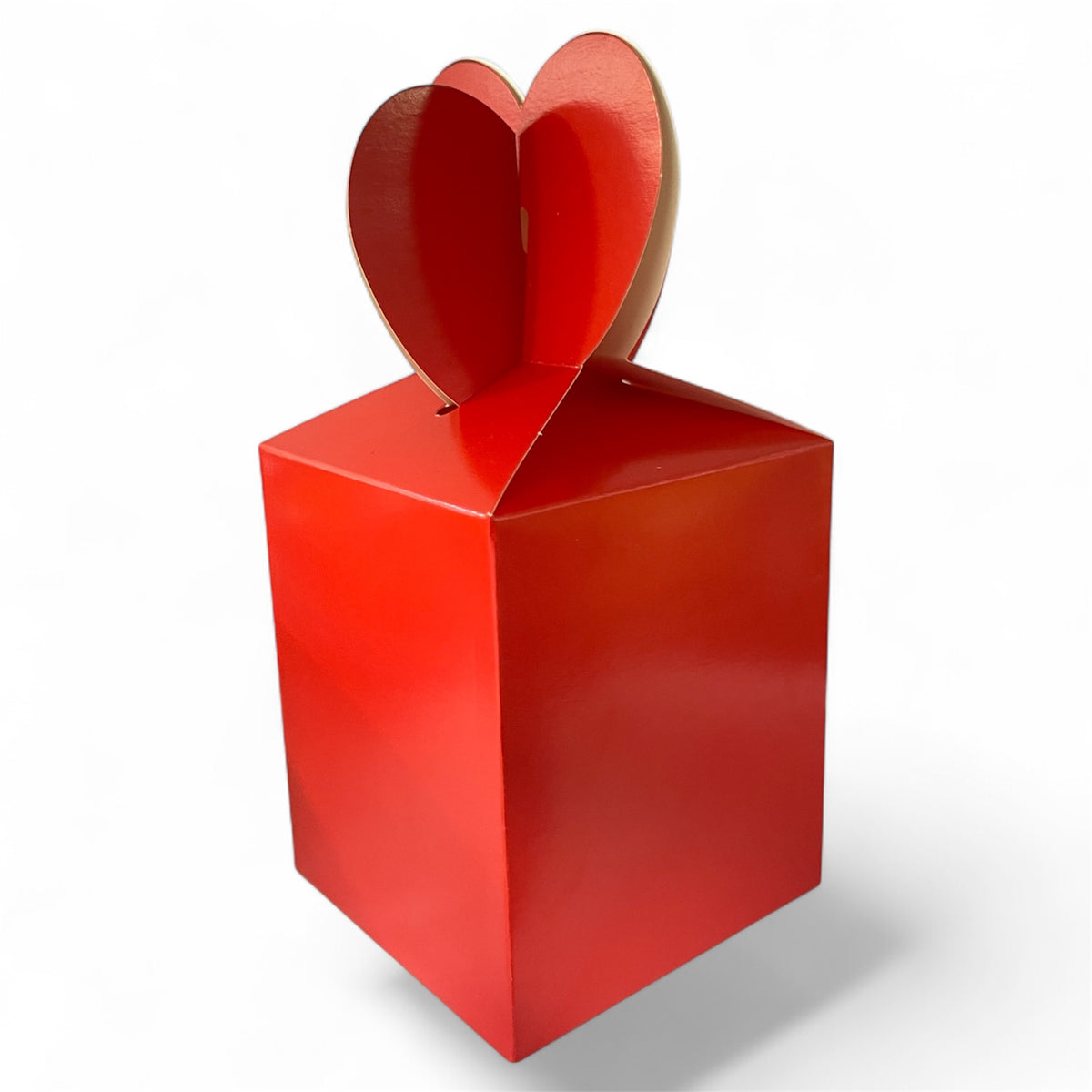Boîtes Surprise Anniversaire – Lot de 10 pièces