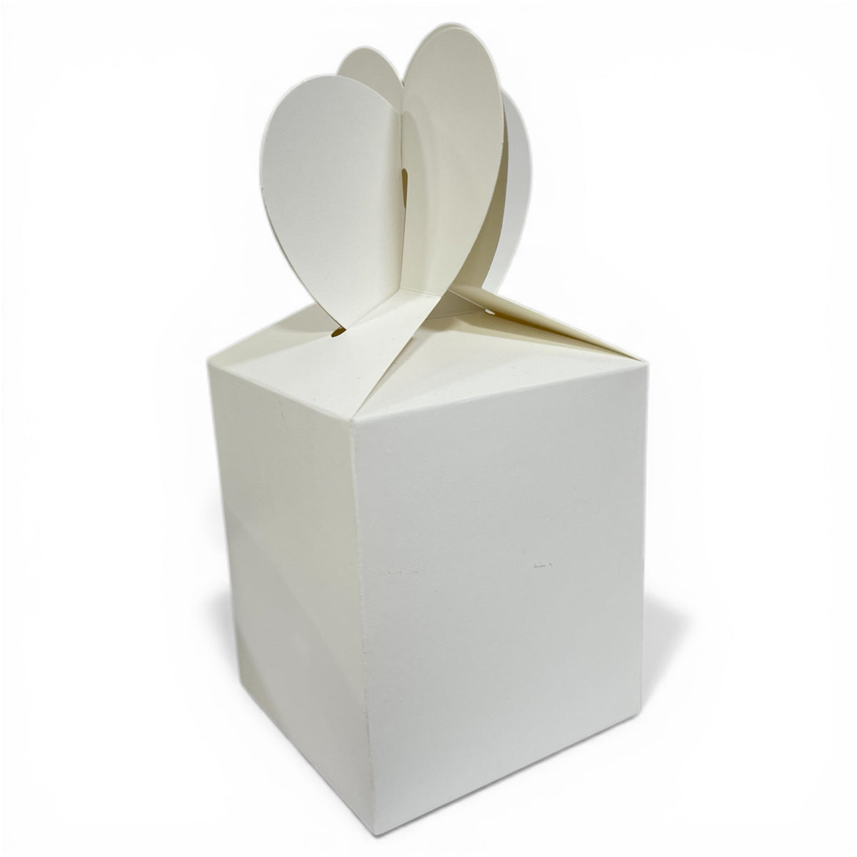 Boîtes Surprise Anniversaire – Lot de 10 pièces