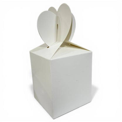 Boîtes Surprise Anniversaire – Lot de 10 pièces