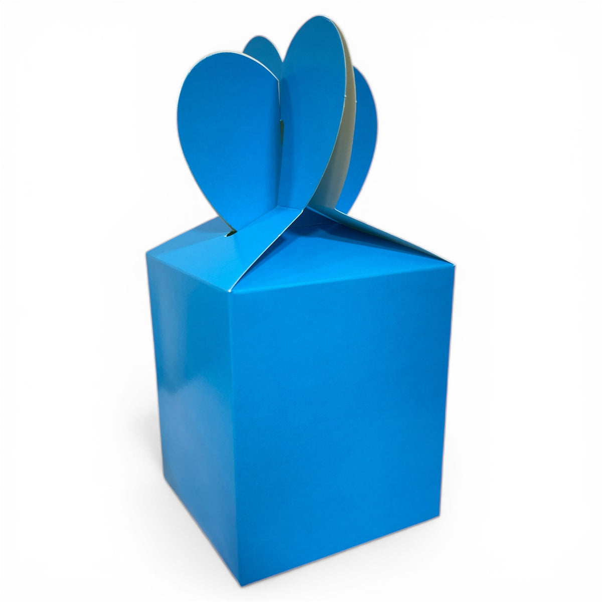 Boîtes Surprise Anniversaire – Lot de 10 pièces
