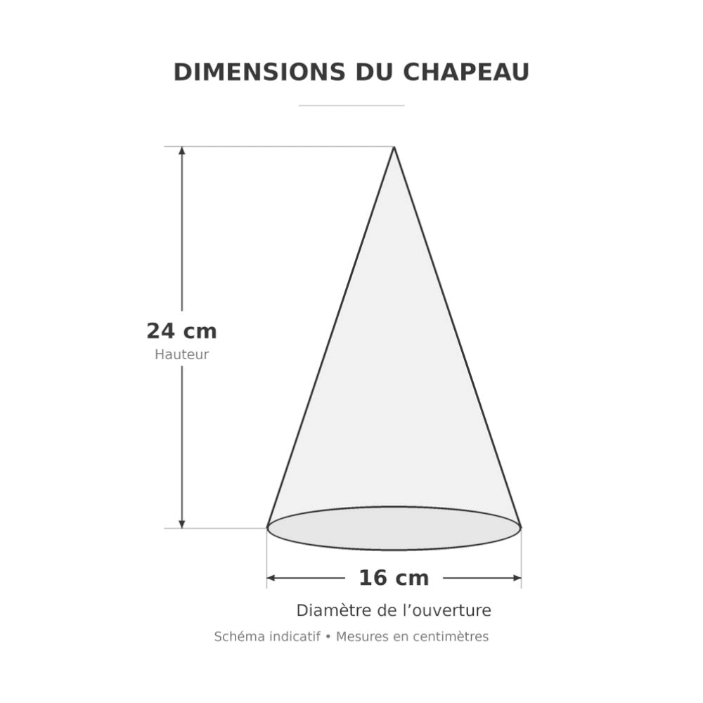 Chapeau Happy Birthday à pompons brillants