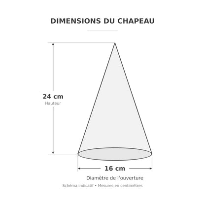Chapeau Happy Birthday à pompons brillants